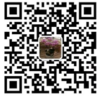 18luck新利手机版苹果